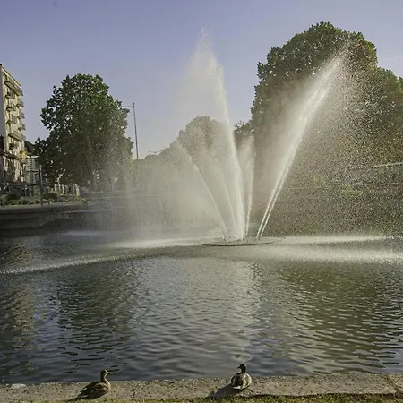 Le Chant Des Oiseaux